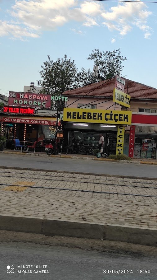 Kepez Kelebek Çiçek Kepez Çiçekçi Kepez Çiçek Siparişi