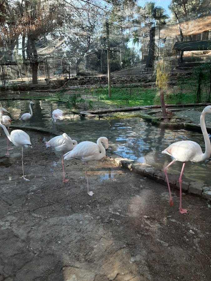 Antalya Doğal Yaşam Parkı