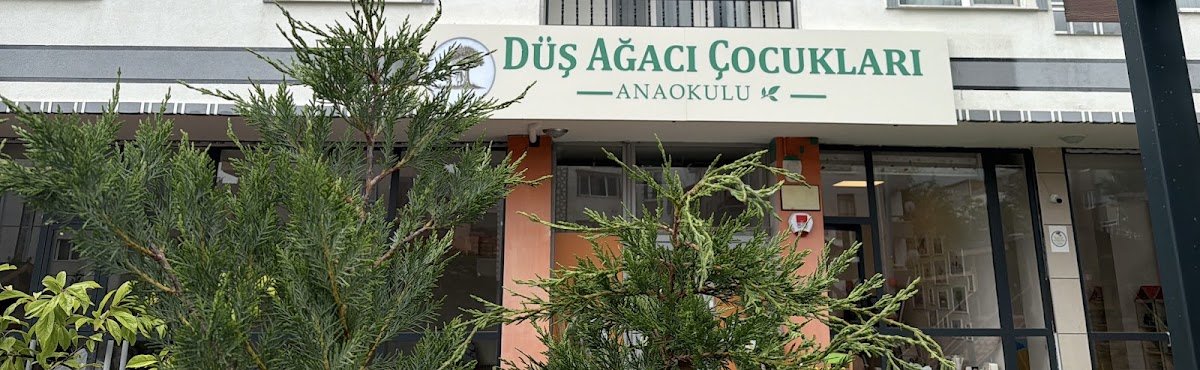 Düş Ağacı Çocukları Anaokulu
