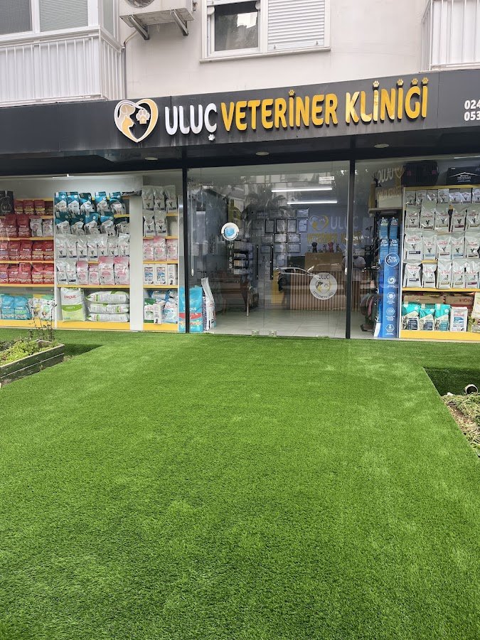 Dtm Suni Çim Halı Peyzaj