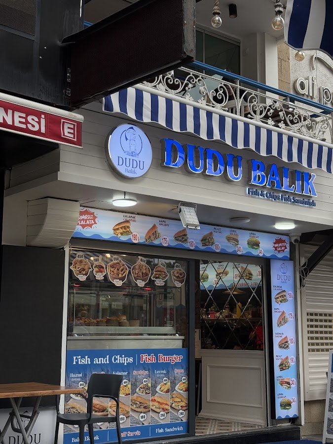Dudu Balık