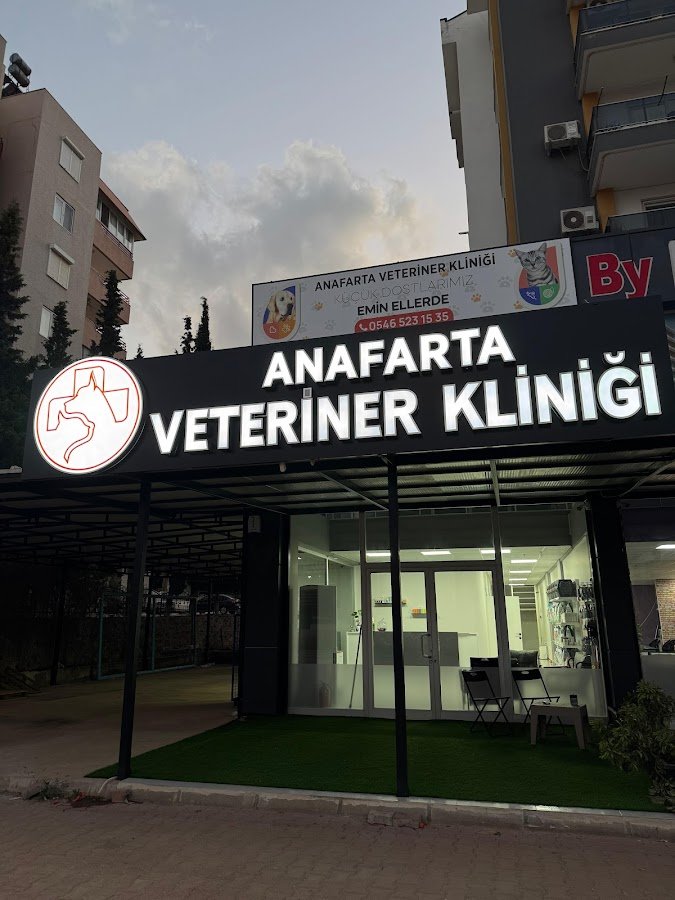 Anafarta Veteriner Kliniği - Mazıdağı Veteriner