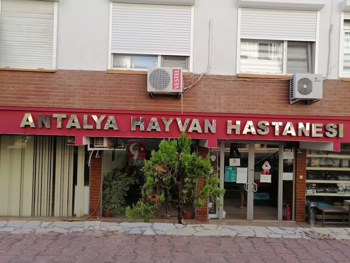 Antalya Hayvan Hastanesi