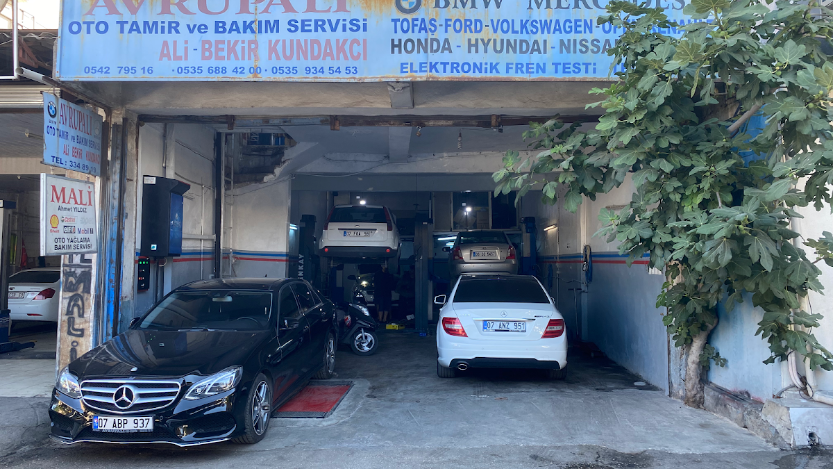 Avrupali Oto Tamir ve Bakim Servisi