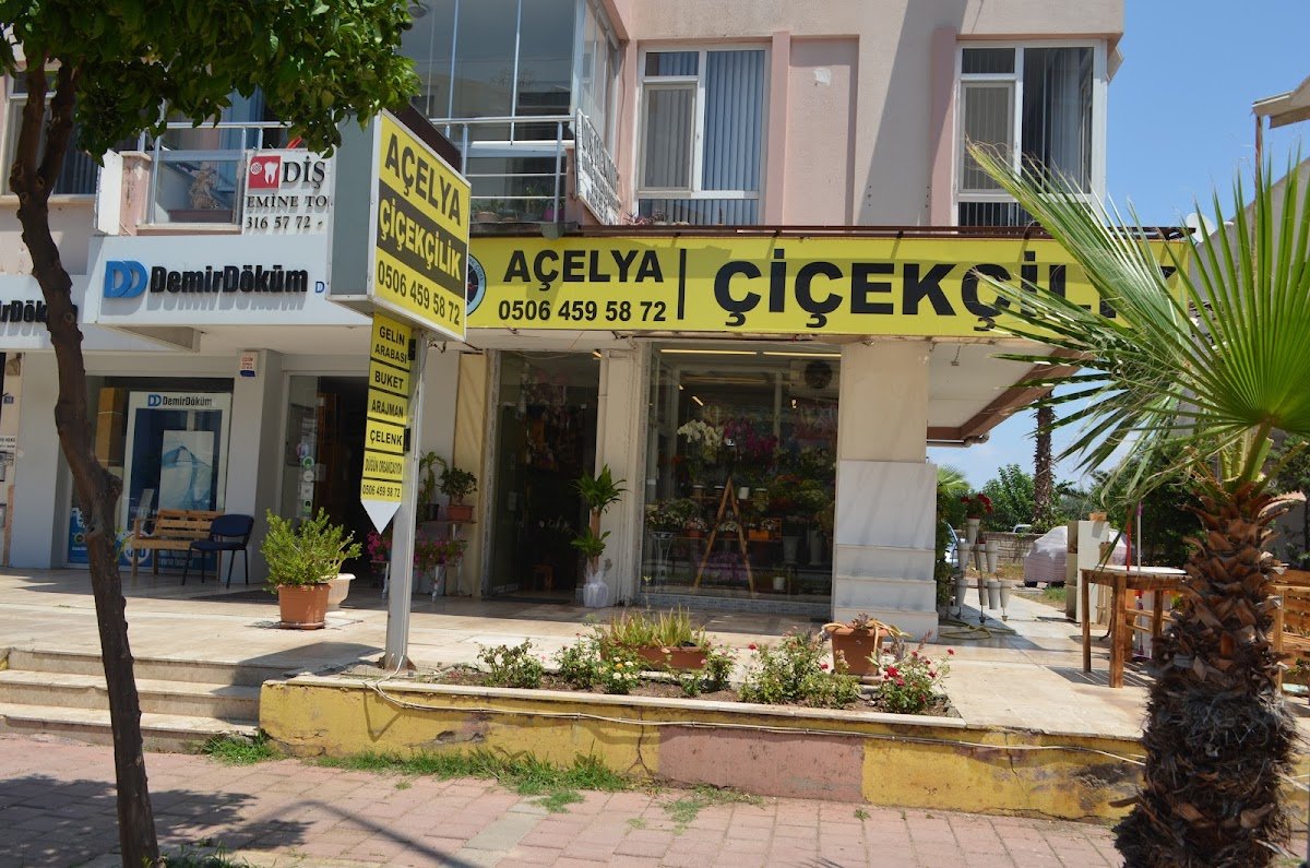 Antalya Açelya Çiçek