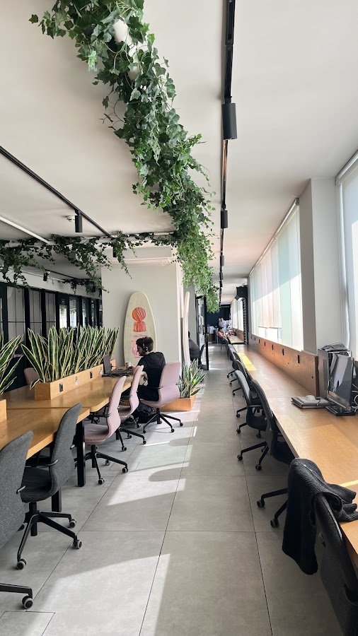 Work C I Paylaşımlı Ofis, Hazır Ofis, Sanal Ofis
