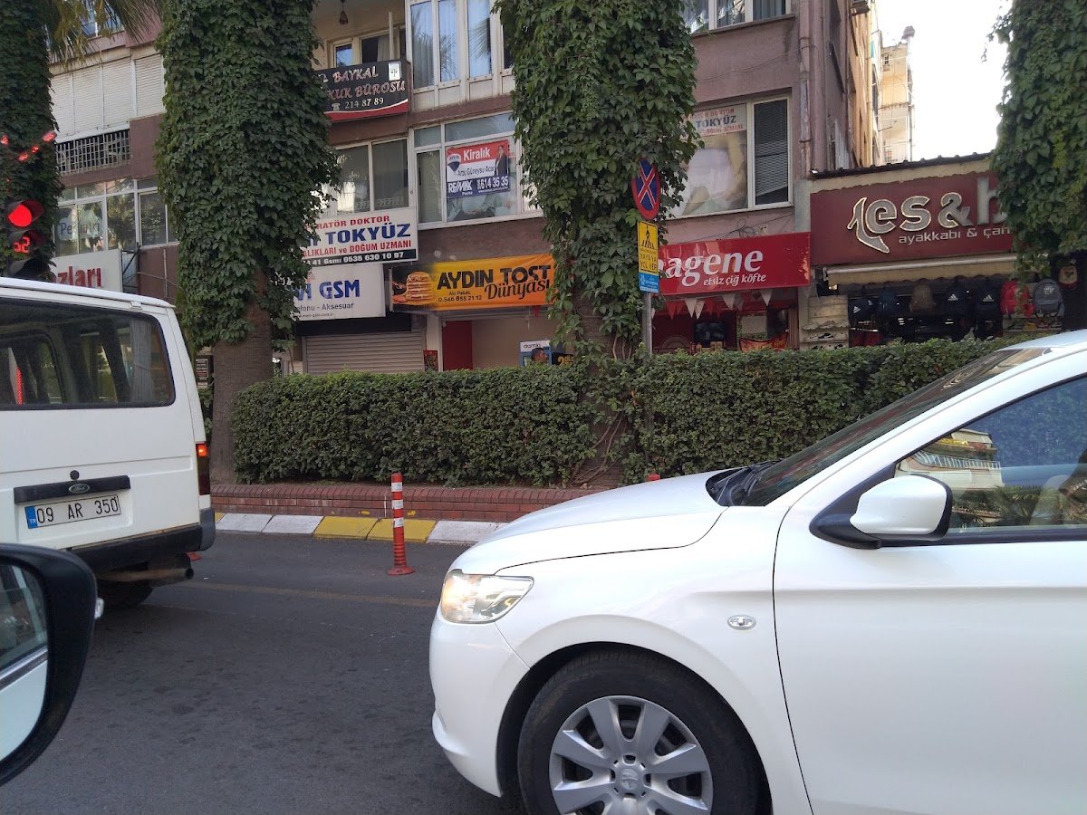 Nilüfer Pastanesi