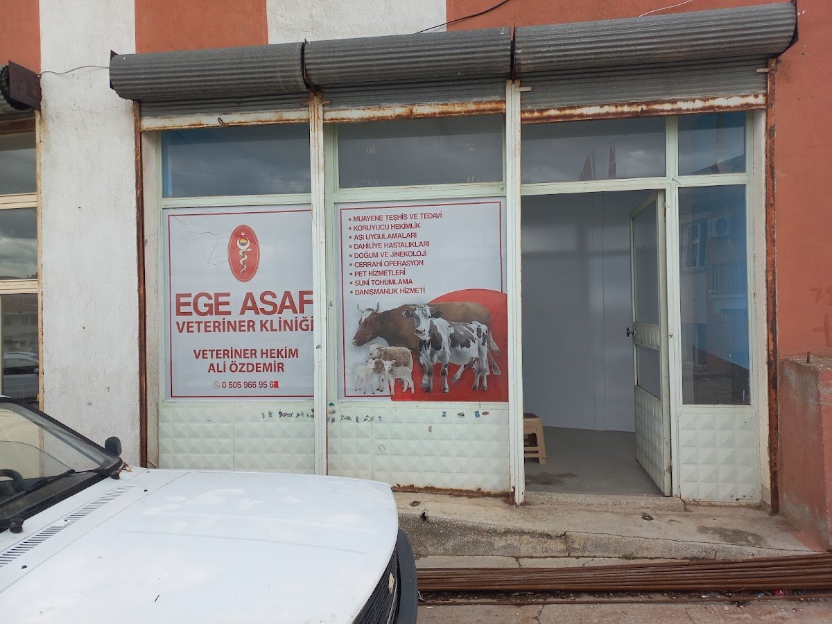 Ege Asaf Veteriner Klinigi