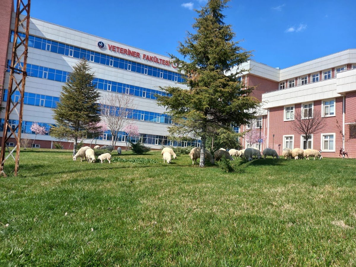 Kırıkkale Üniversitesi Veteriner Fakültesi