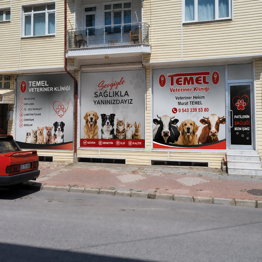 Temel Veteriner Kliniği