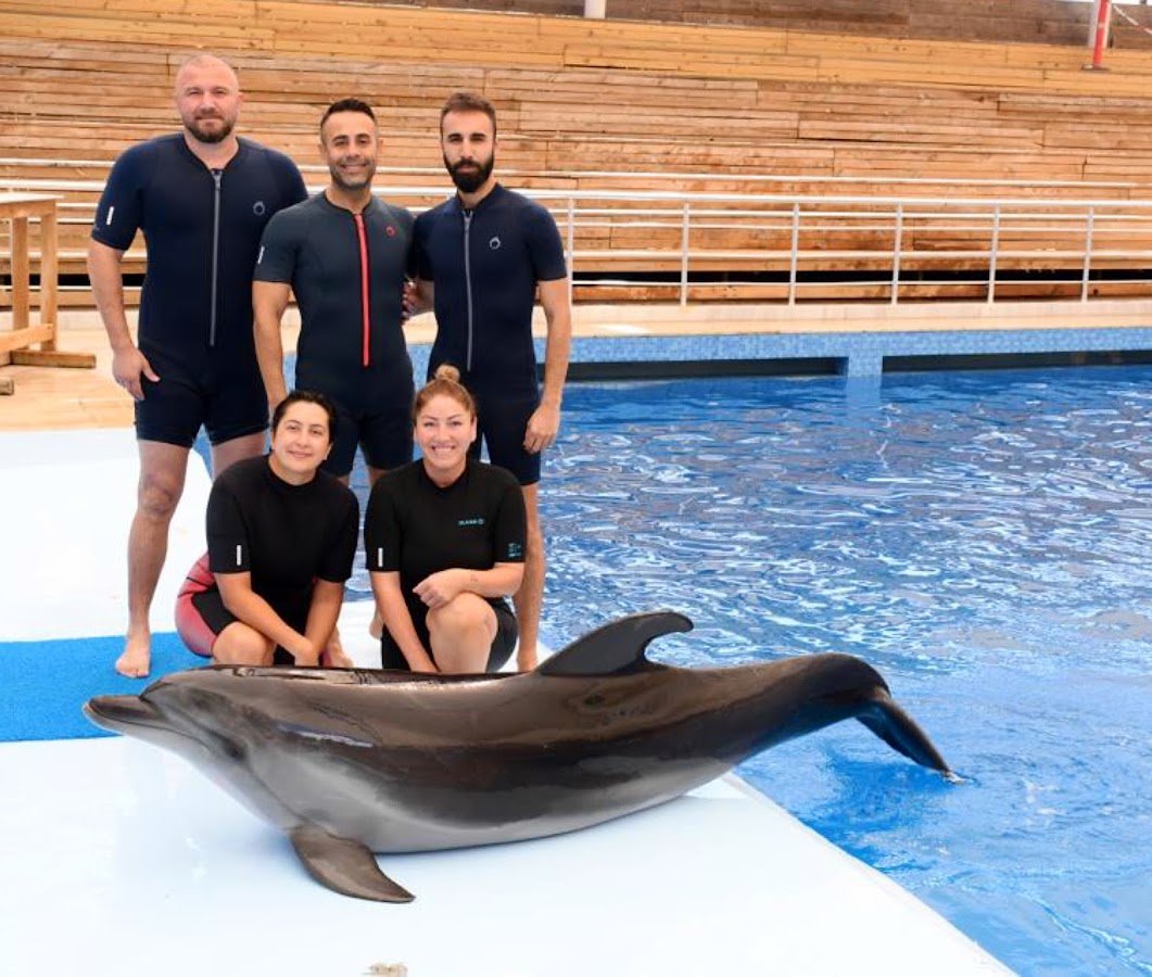 Mydolphıns Türkiye