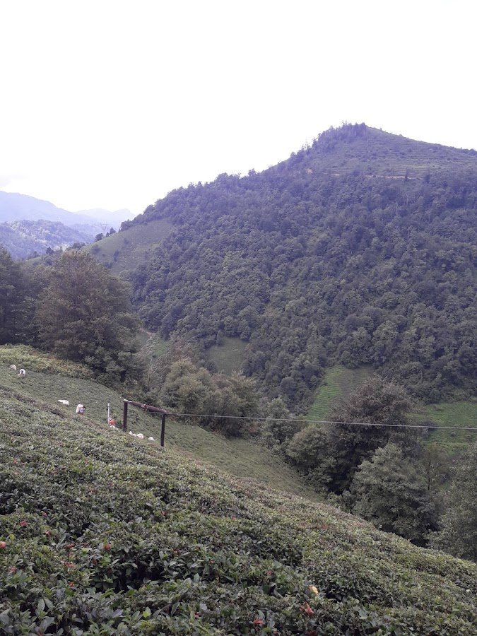 Lüks Karadeniz