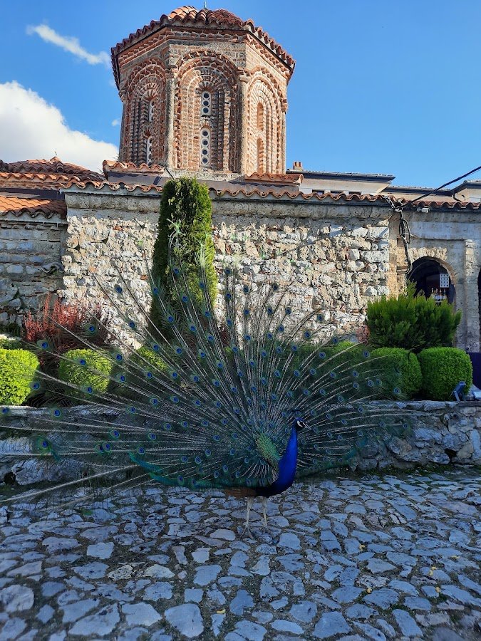 Neretva Turizm