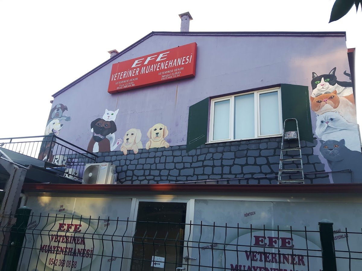 Efe Veteriner Kliniği