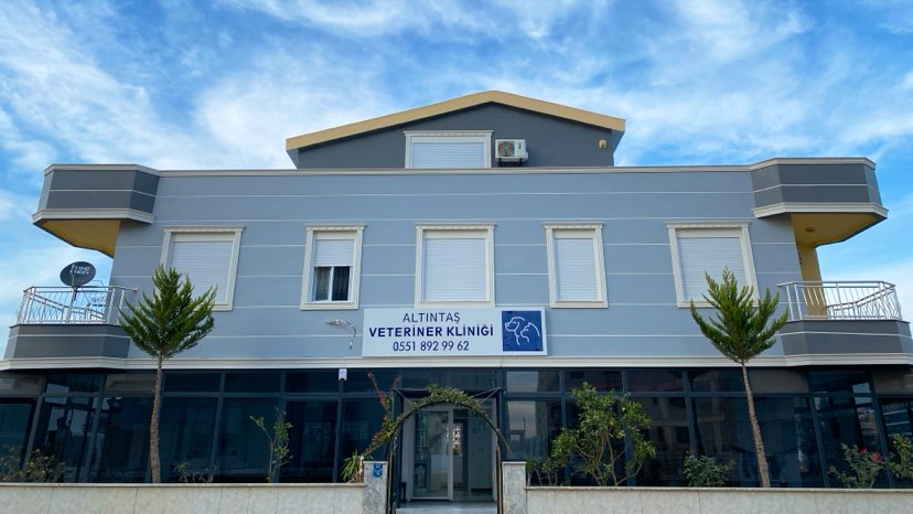 Altıntaş Veteriner Kliniği