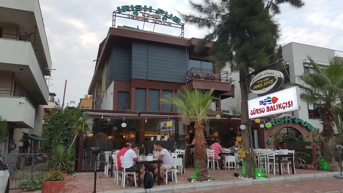 Gürsu Balıkçısı