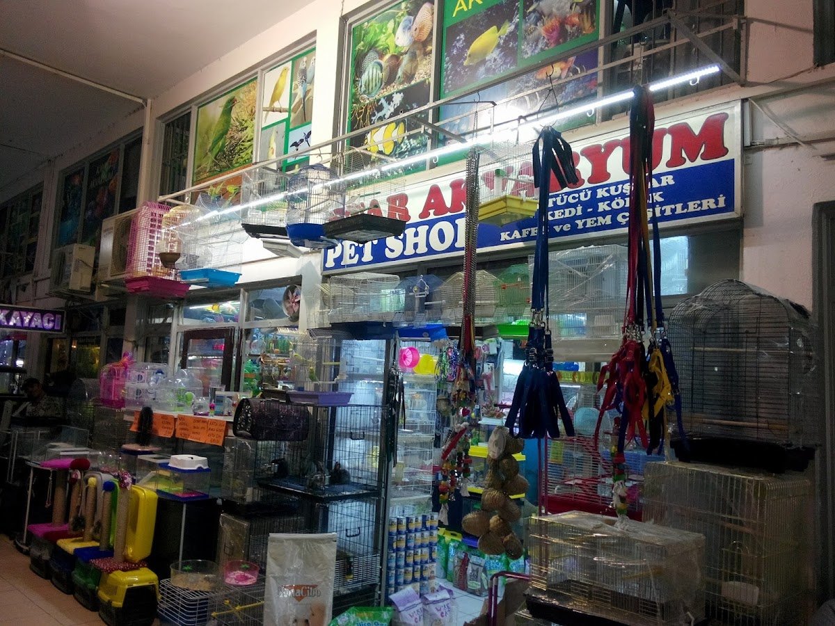 Star Akvaryum&Petshop