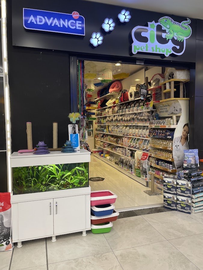 City Petshop -Kedi Köpek Kuş Balık Kaplumbağa Ginepig Tavşan Papağan Scottih Fold British