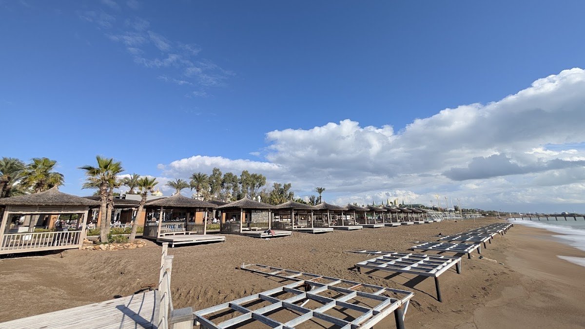 Beach Bar