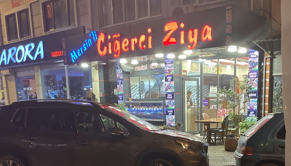 Mersinli Ciğerci Ziya