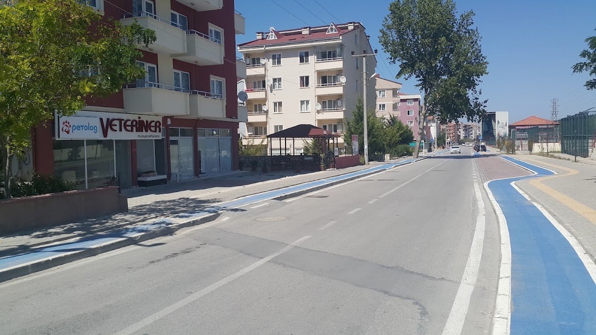 Petolog Veteriner Muayenehanesi
