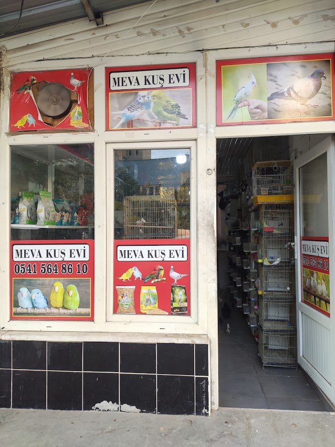 Meva Kuş Evi & Petshop