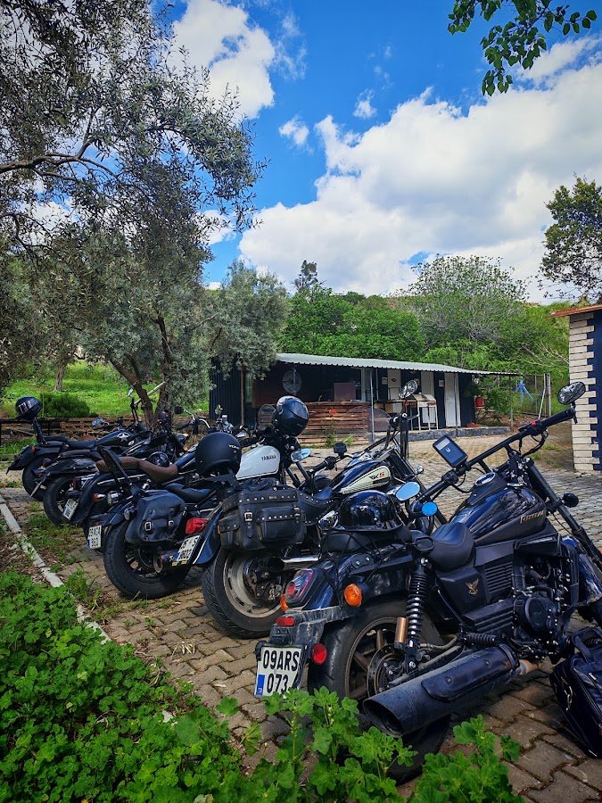 Tcmc Aydın