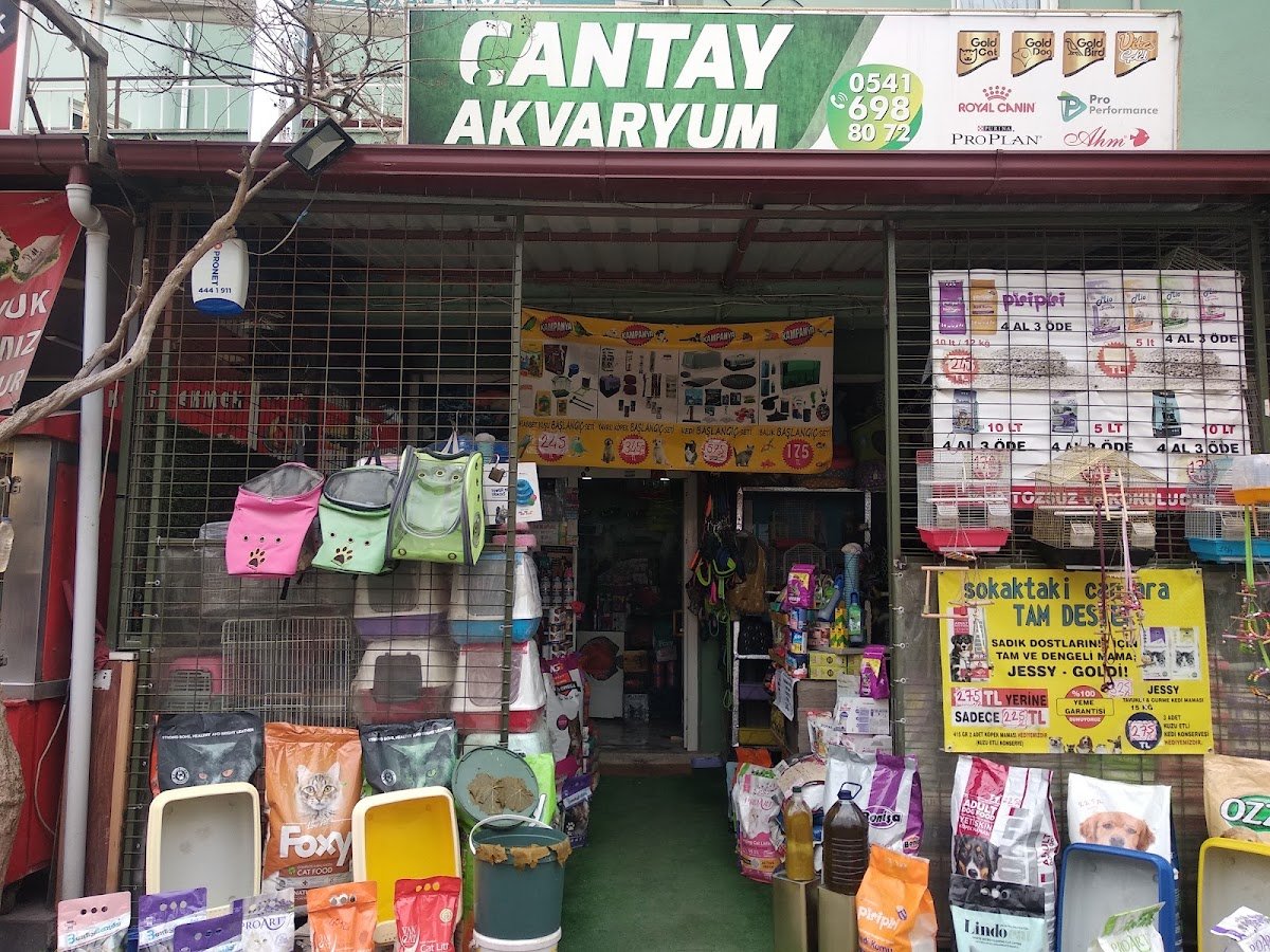 Çantay Akvaryum Petcity
