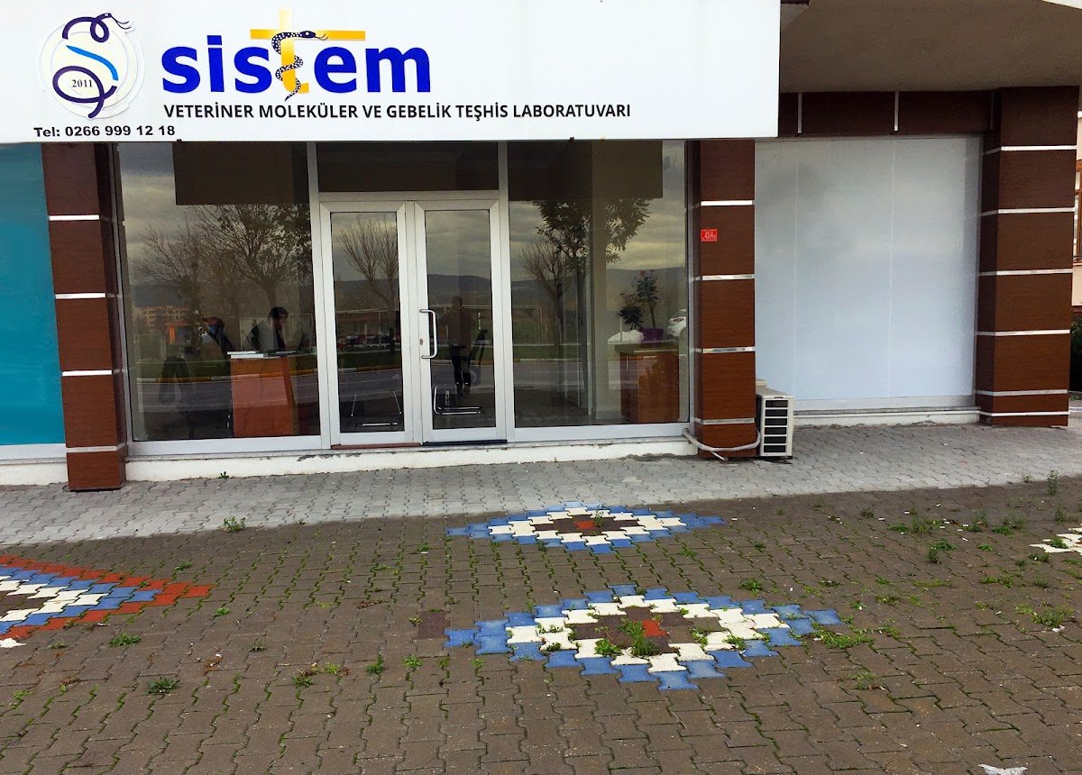 Sistem Veteriner Teşhis Laboratuvarı