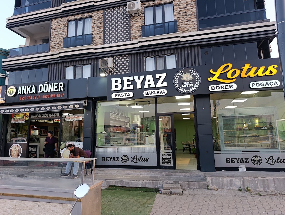 Beyaz Lotus Pastanesi