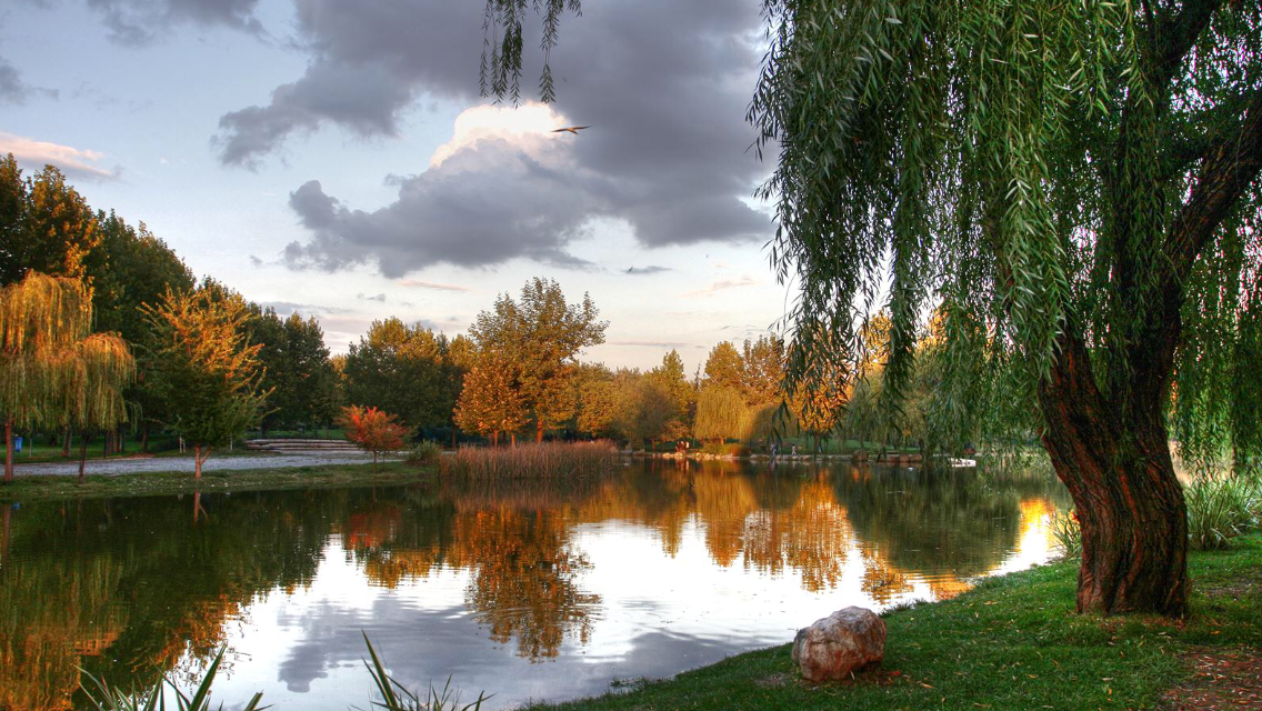 Erdem Saker Botanik Parkı