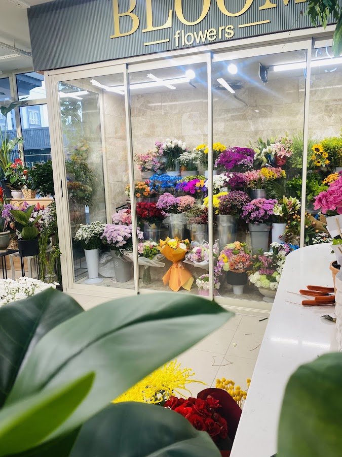 Bloom Flowers