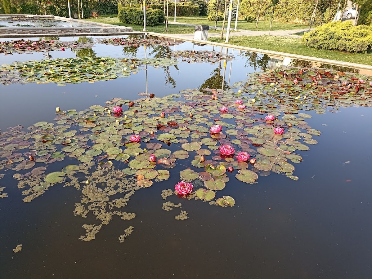 Belgin Özer Nilüfer Parkı