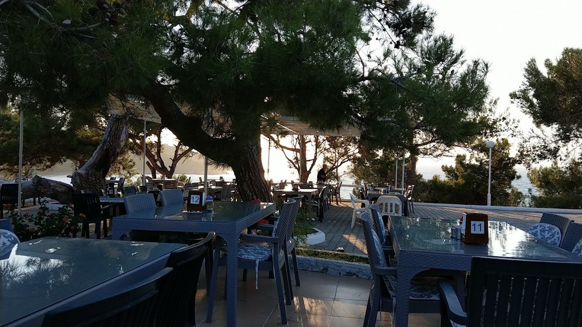 Kaymakam Çamı Restoran