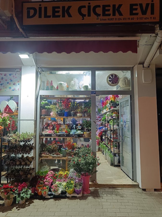 Dilek Çiçek Evi