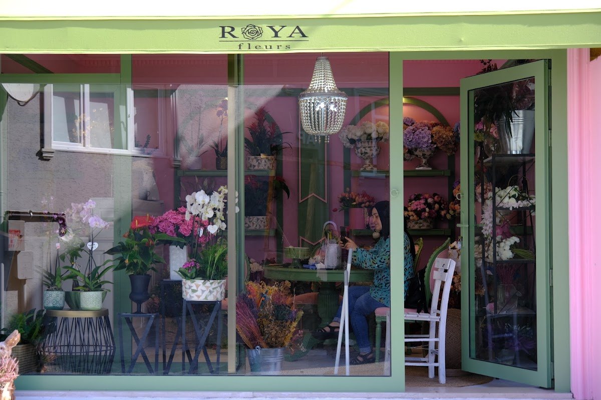 Roya Fleurs