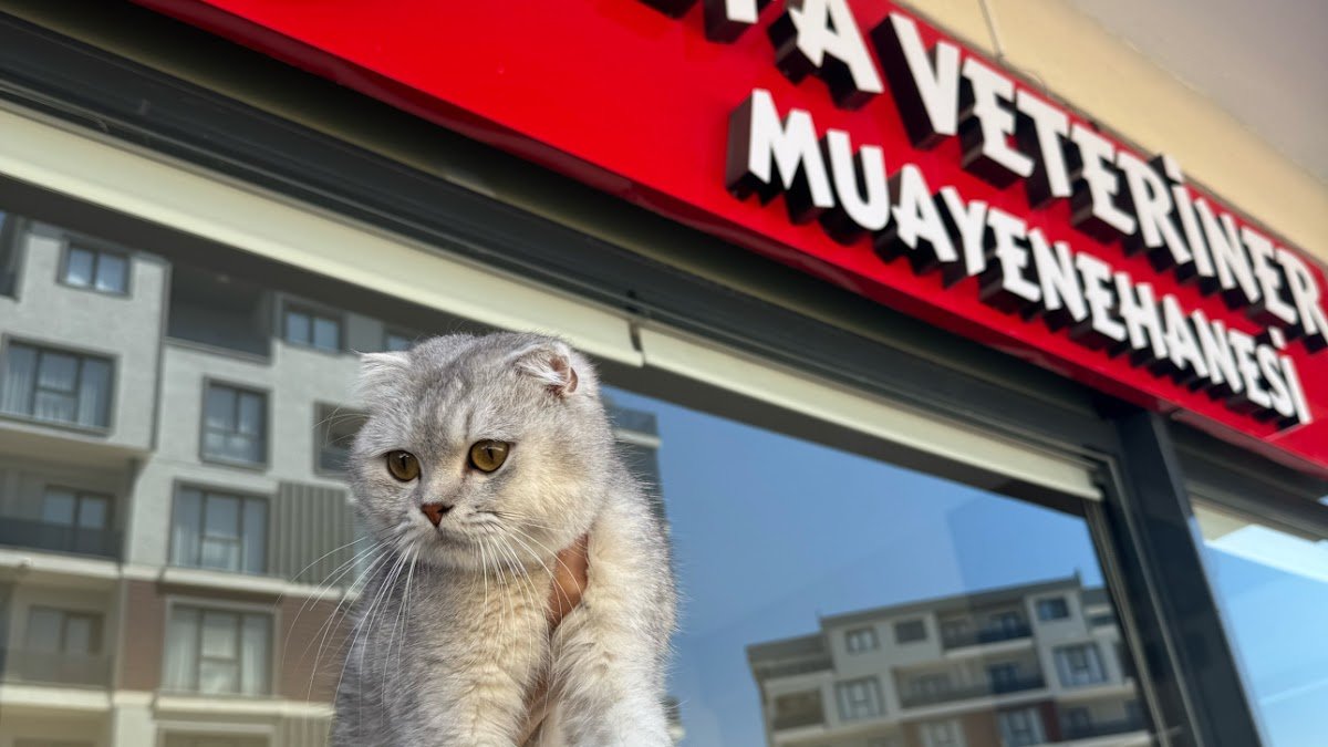 Alfa Veteriner Kliniği (Bursa)