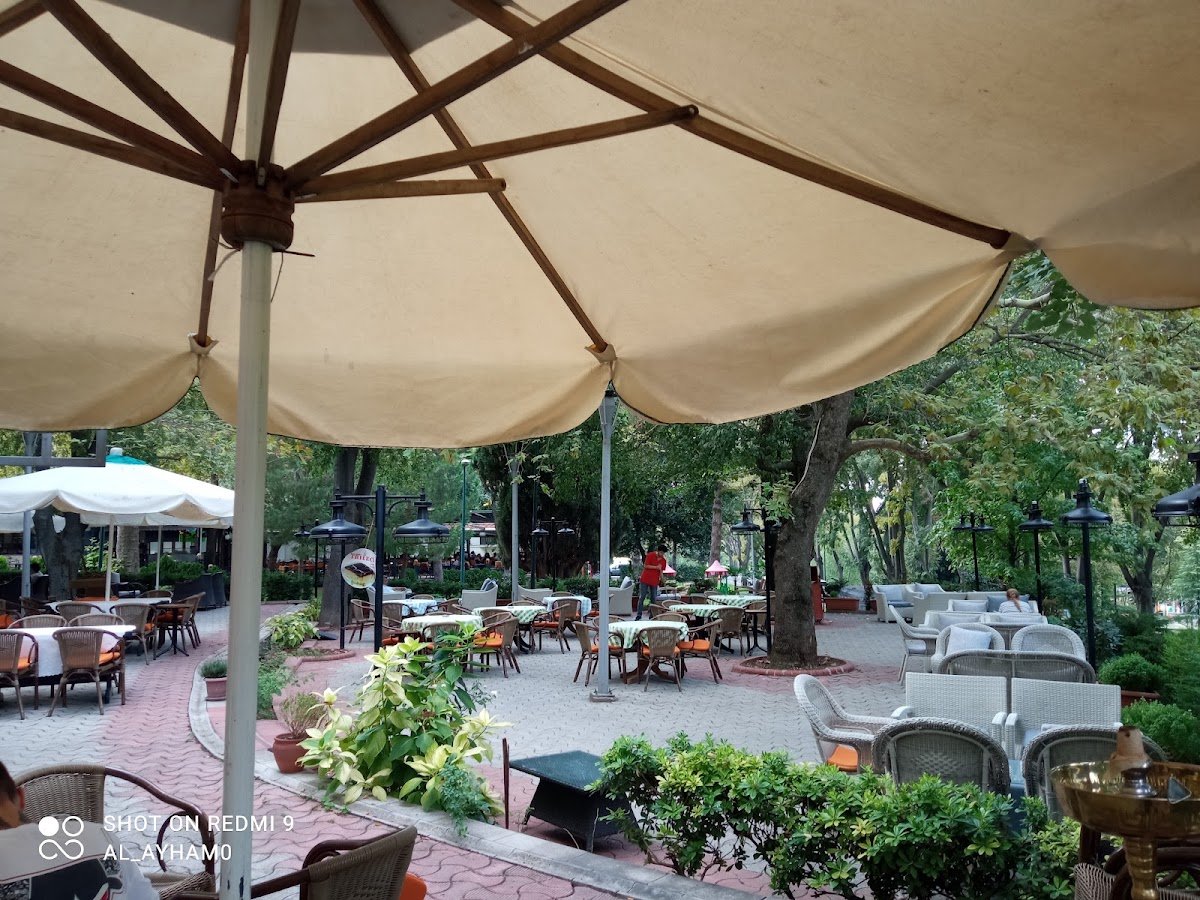 Orman Cafe