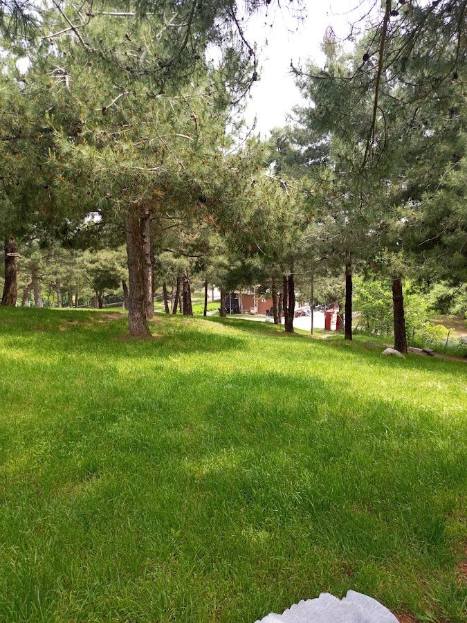 Cazibe Piknik ve Spor Merkezi