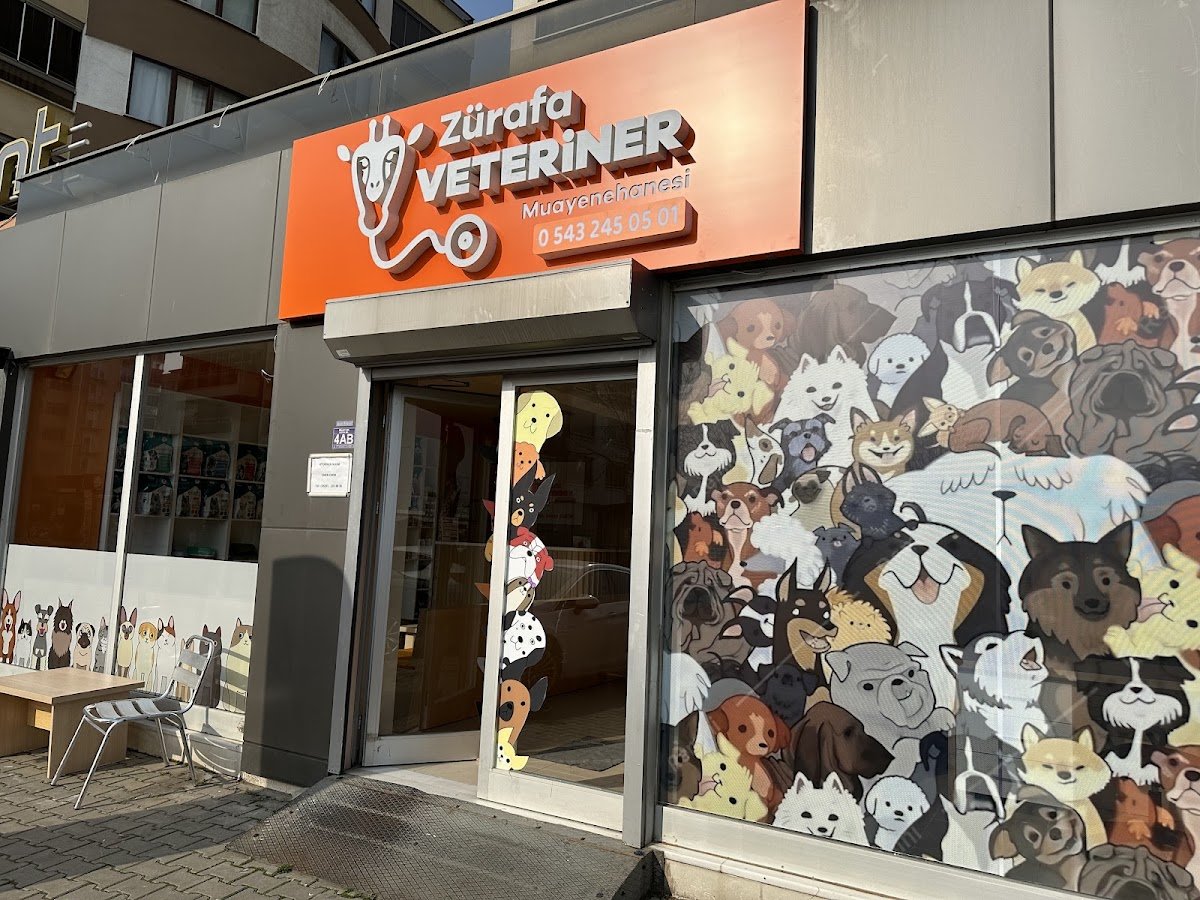 Zürafa Veteriner Muayenehanesi