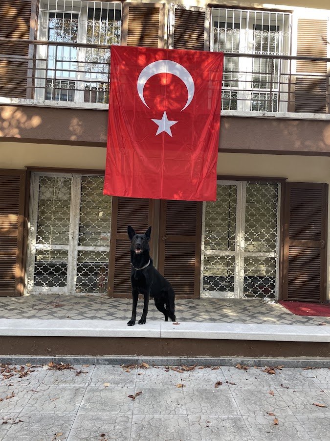 Barftr Gıda Hayvancılık İmalat Paz.İth.ve İhr.San.Tı̇c.Ltd.