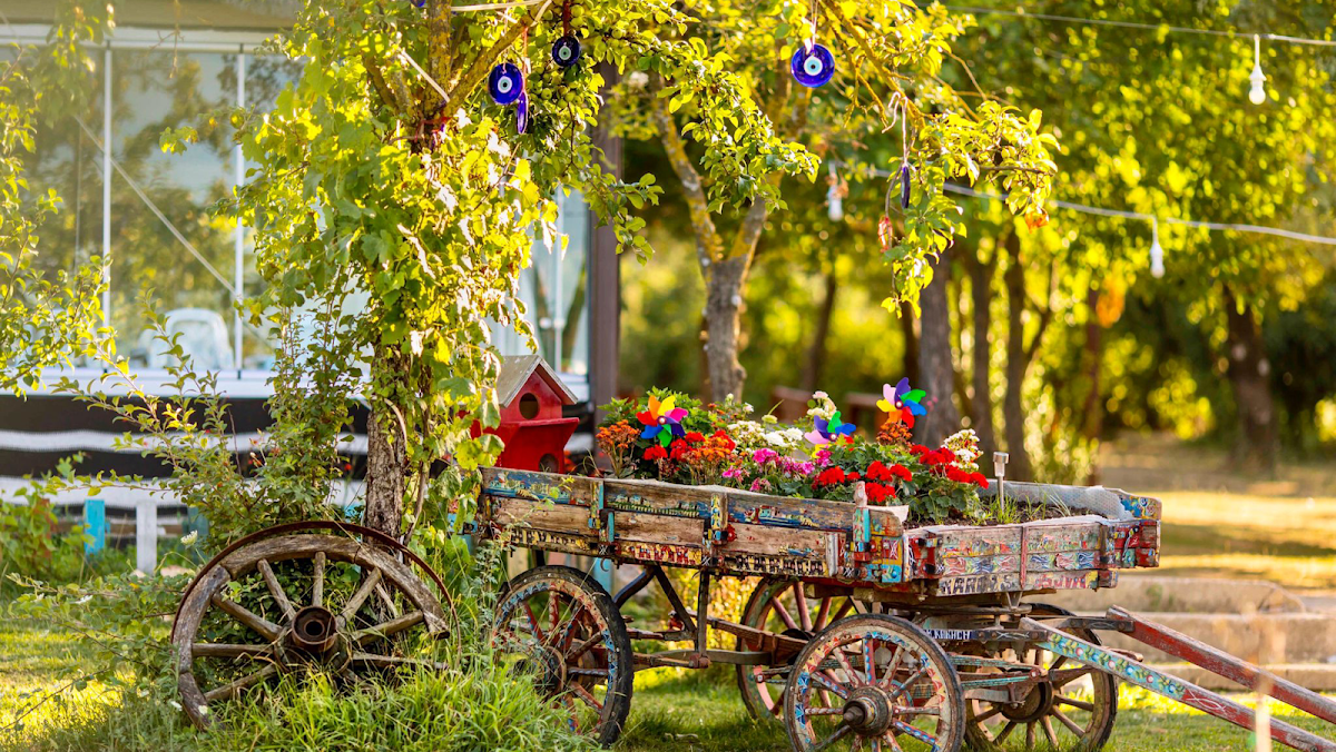 Gardenya Davet