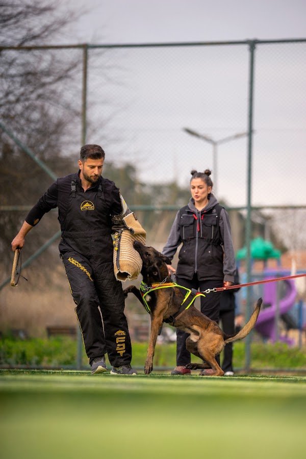 K9 Koleji - Köpek Eğitim Merkezi Bursa