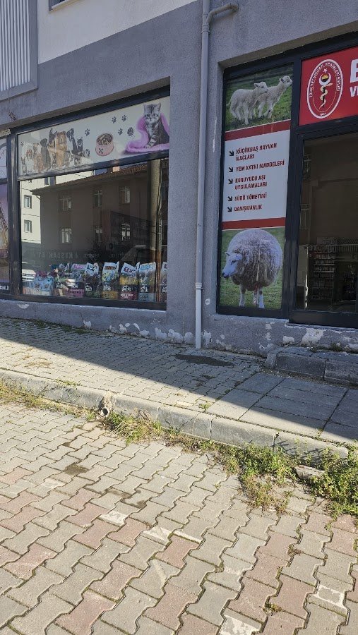 Bay-Vet Veteriner Kliniği