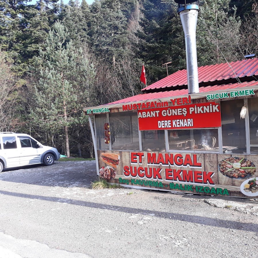 Dere Kenarı Piknik