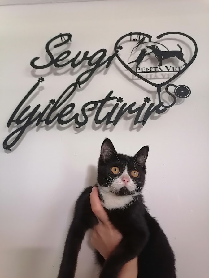 Penta Pet Veteriner Kliniği