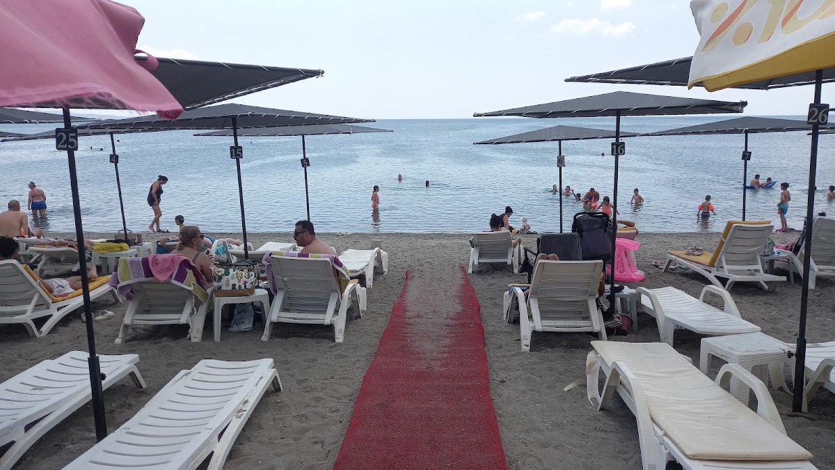 Garden Brown Cafe Beach