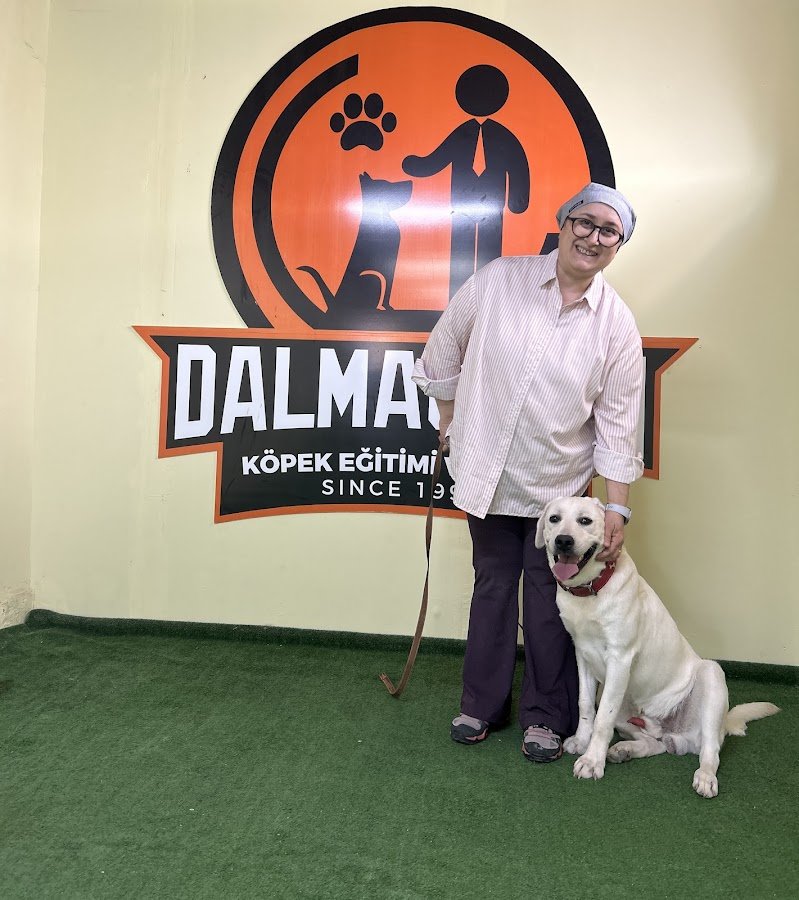 Dalmaçyalı Köpek Eğitim ve Oteli - Bursa