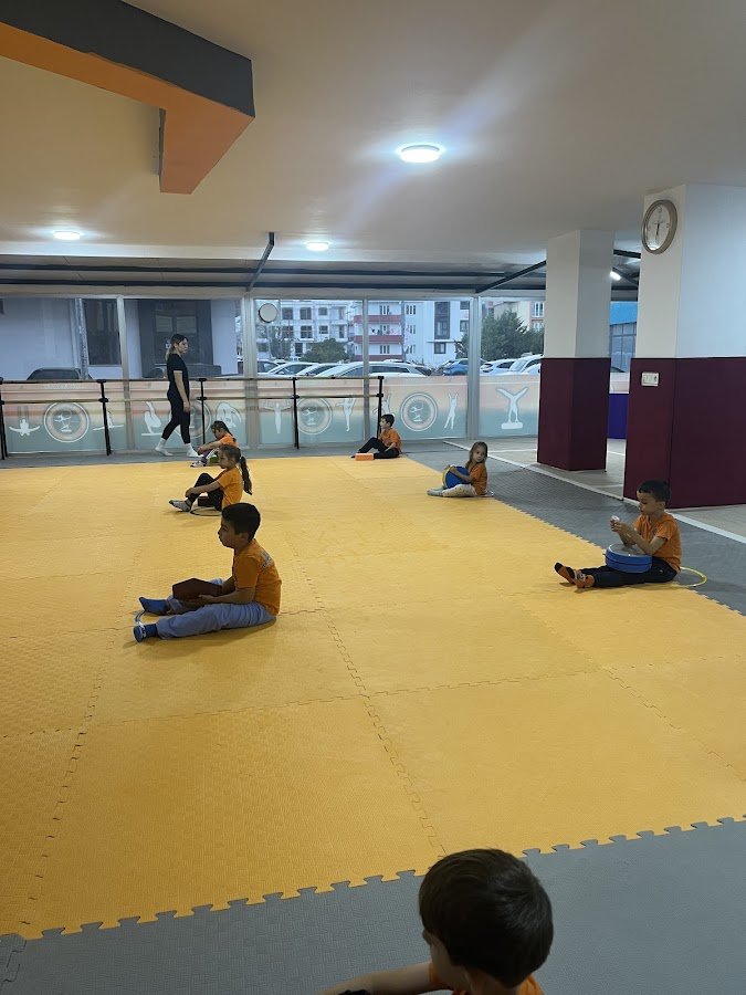 Balıkesir Alfa Cimnastik Spor Kulübü