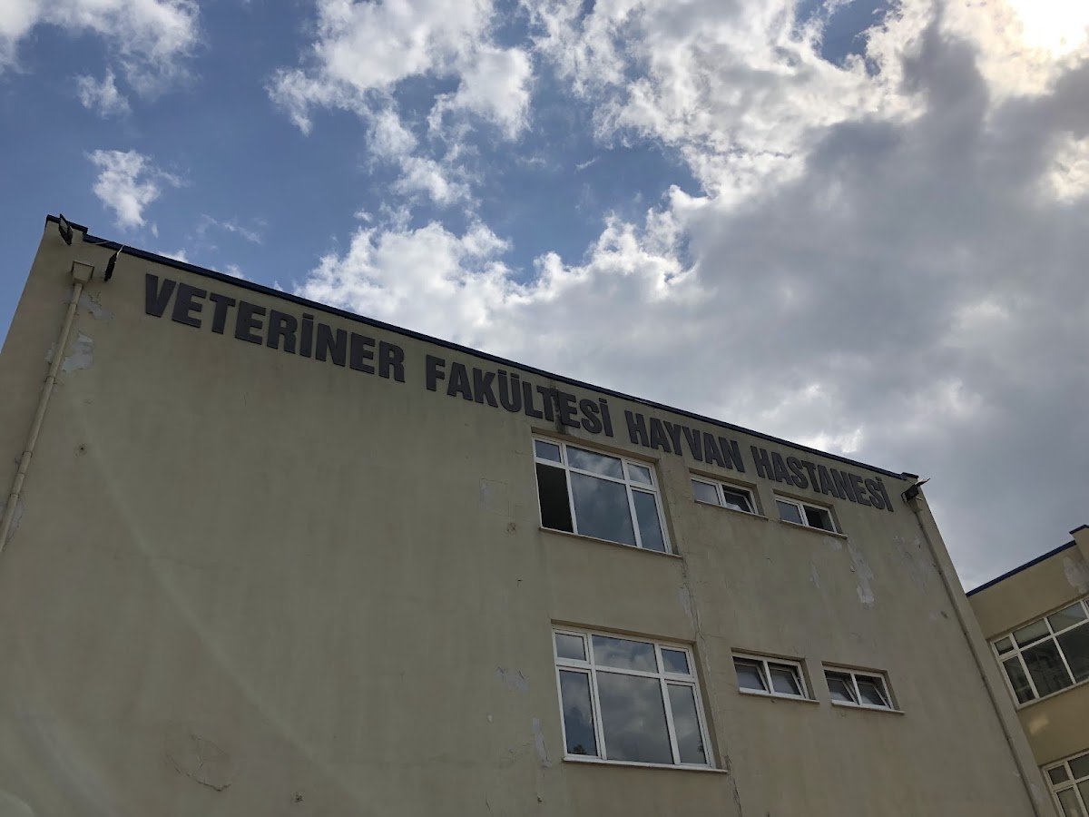 Veteriner Fakültesi Hayvan Hastanesi